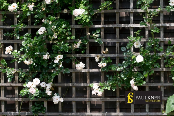 Can I put trellis on my Neighbours garage wall? 2 Do you want to adapt your neighbours garage door and add a trellis Cirencester? Talk to Faulkner Surveyor Cirencester